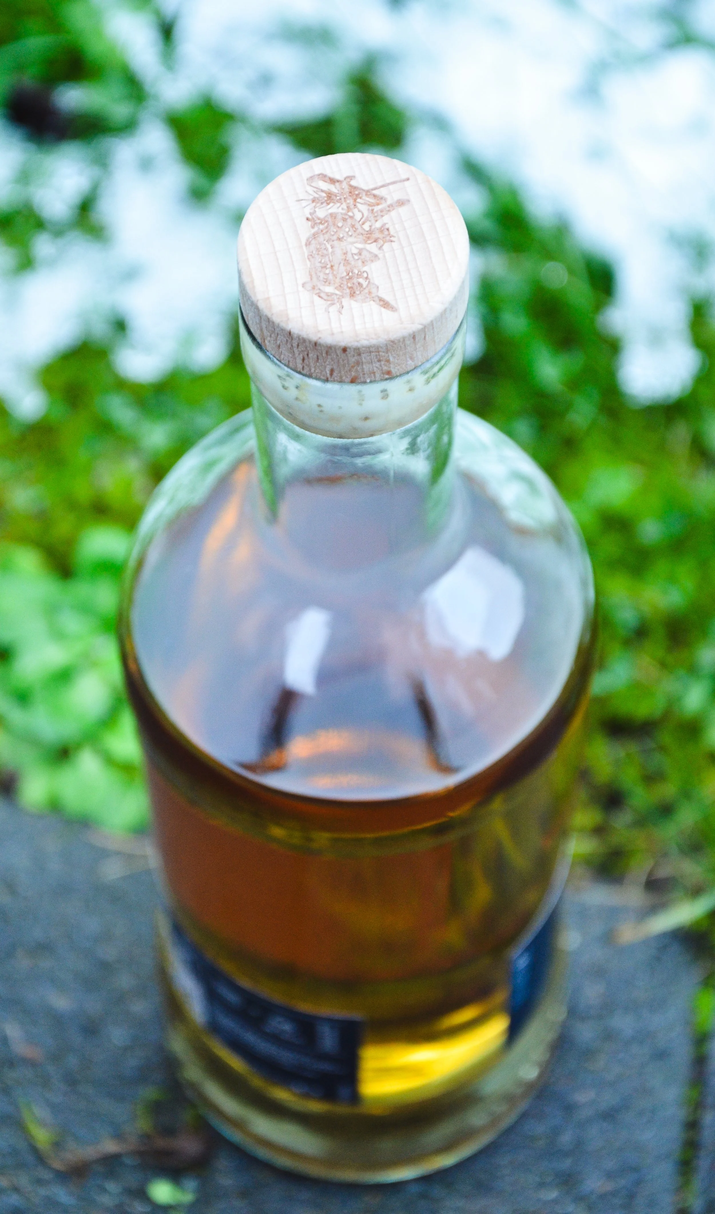 Ardnamurchan Cask Strength 2024 — Dramface
